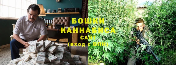 крисы Новодвинск