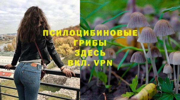 не бодяженный Новокубанск