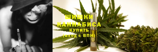 крисы Новодвинск