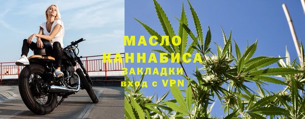 крисы Новодвинск