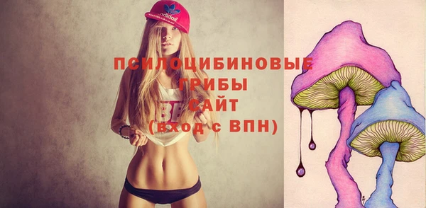 крисы Новодвинск