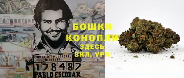 крисы Новодвинск
