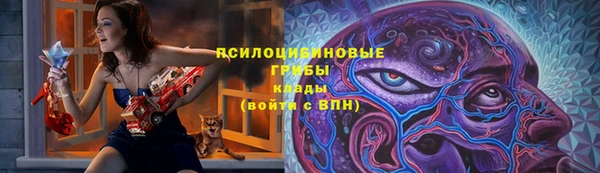 крисы Новодвинск