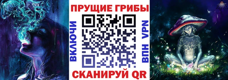 Псилоцибиновые грибы GOLDEN TEACHER  Невельск 